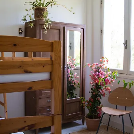 Surfhostel Hossegor Albergue *
